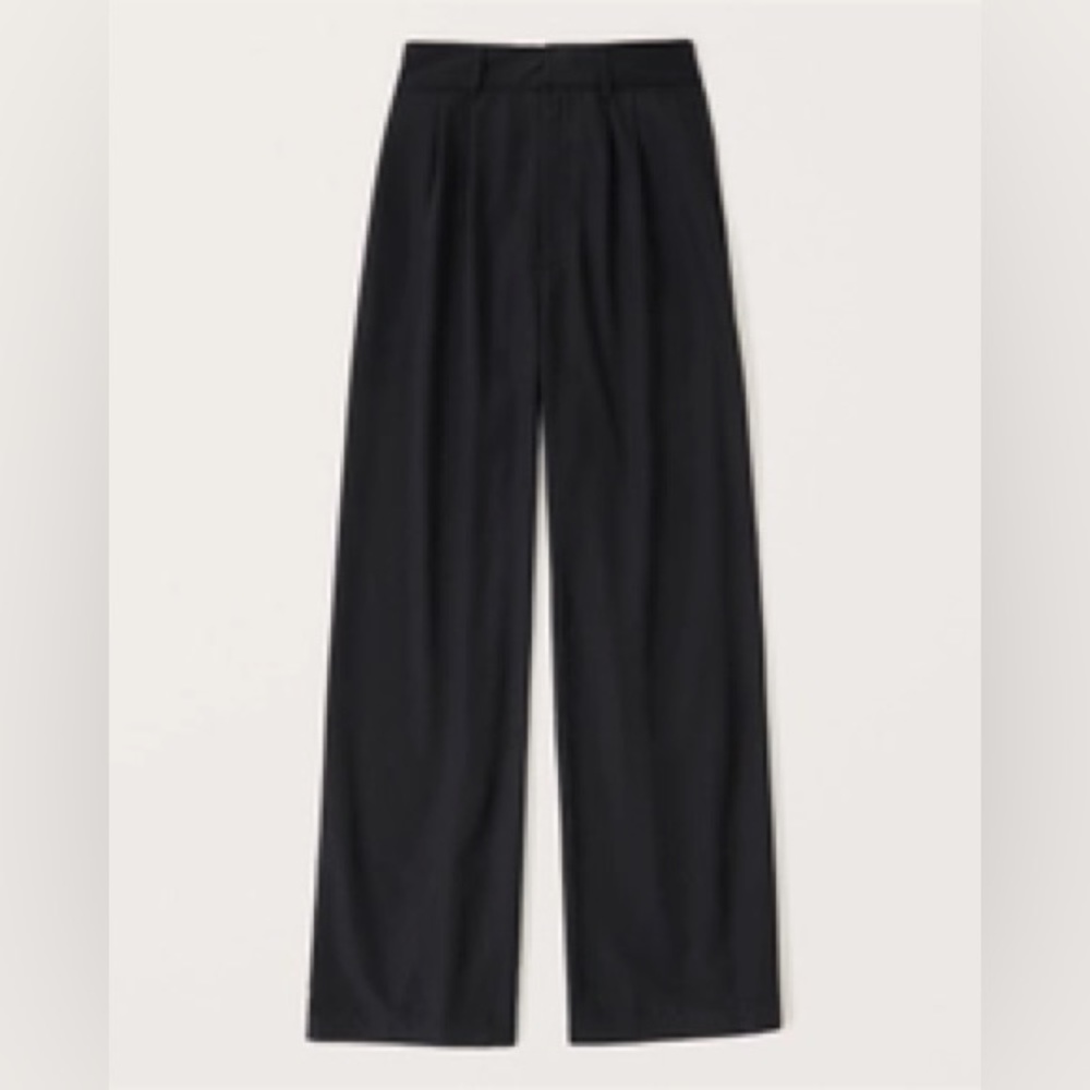 Abercrombie and Fitch Cupro Tailored Wide Leg Pants